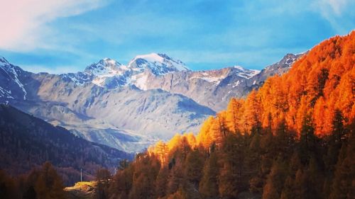 val Senales 